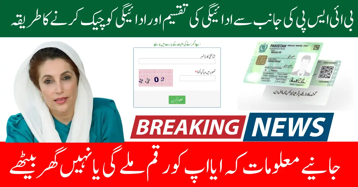 Bisp 8171 Payment Check Discreet 2025 And Check Your PMT Score Now